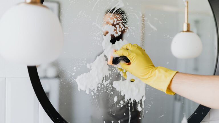 E-2 Approval for Brazilian Citizen for Professional Cleaning